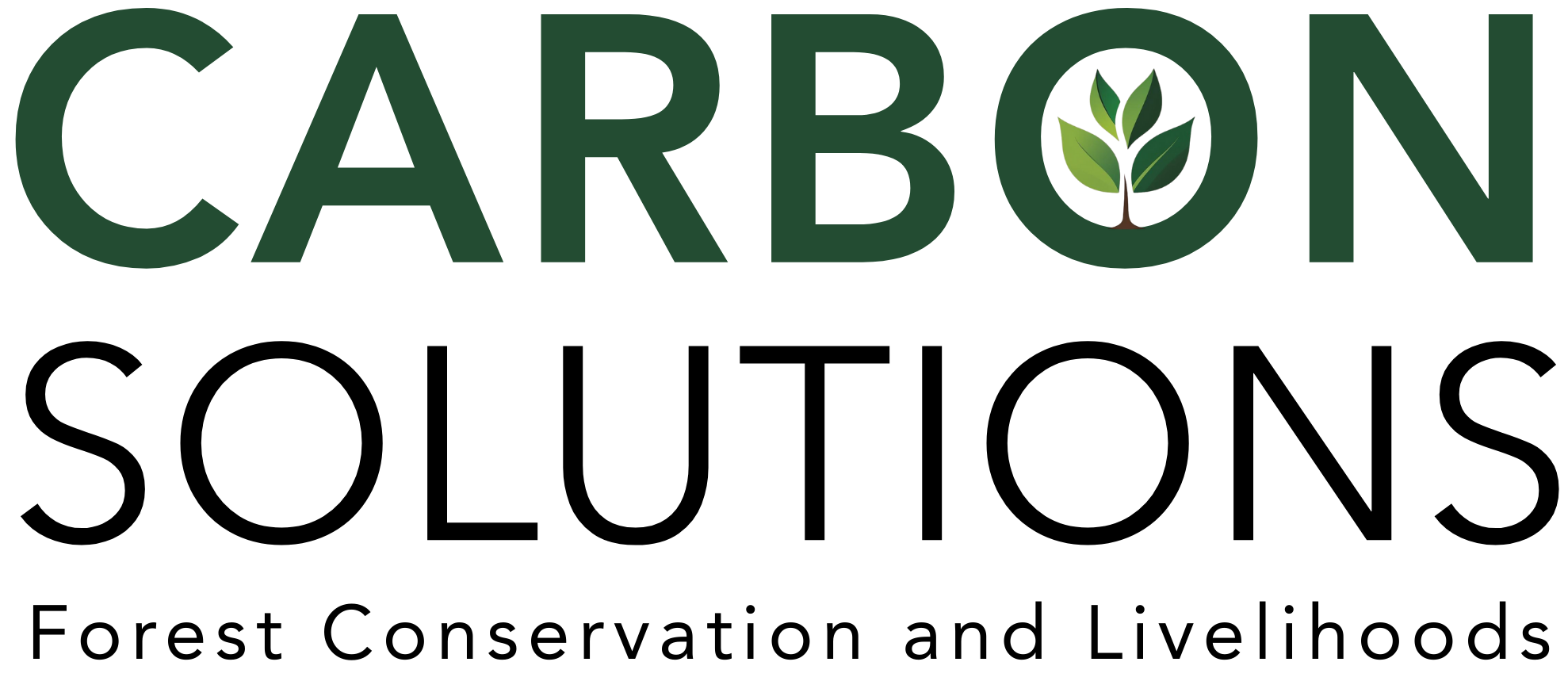 Carbon Solutions Logo
